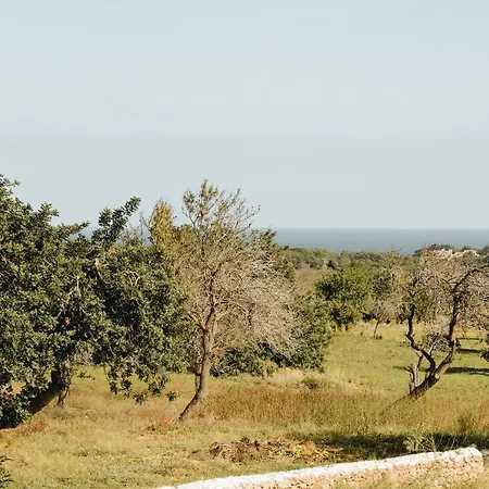 Ibiza Yoga Weeks Bed & Breakfast *